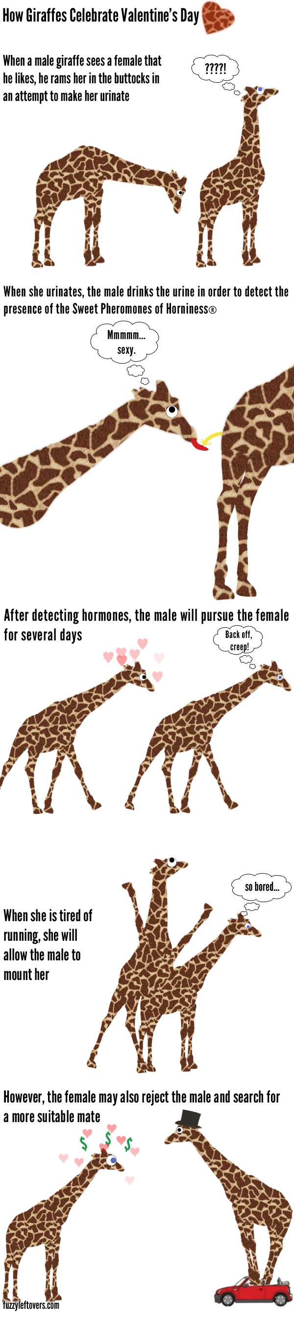 How Giraffes Celebrate Valentine's Day
