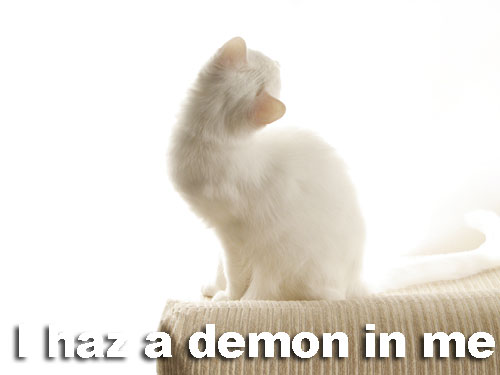 lolcat