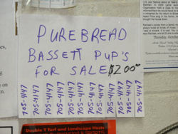 Pure bread