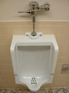 Urinal